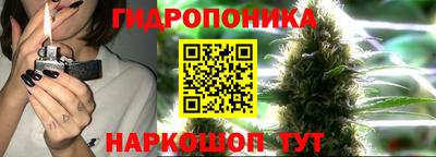 ПСИЛОЦИБИНОВЫЕ ГРИБЫ Боровичи