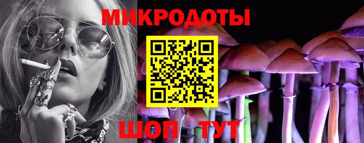 Галлюциногенные грибы Cubensis Тула